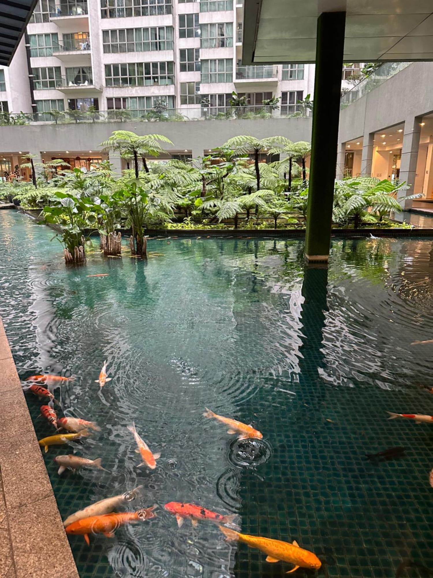 קואלה לומפור Modern Bauhaus Studio At Regalia Klcc Infinity Pool מראה חיצוני תמונה